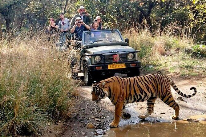 7 Days Golden Triangle Tour with Ranthambore & Varanasi Tour - Who Will Love This Tour?