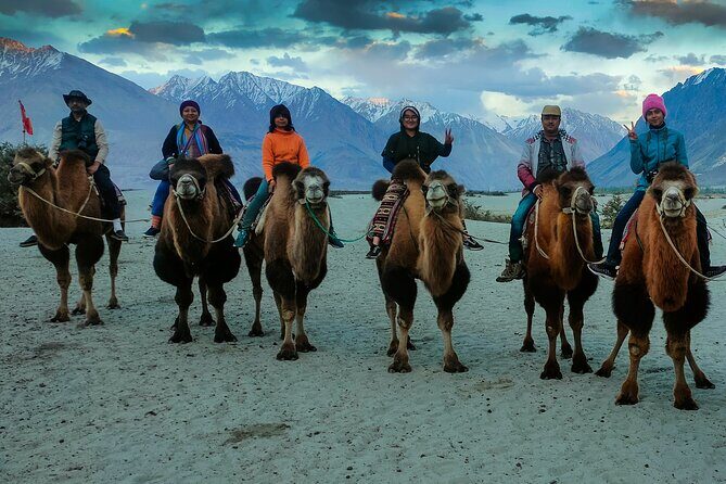 7 Days Private Ladakh India Tour with Transportation - The Practical Side: What to Expect