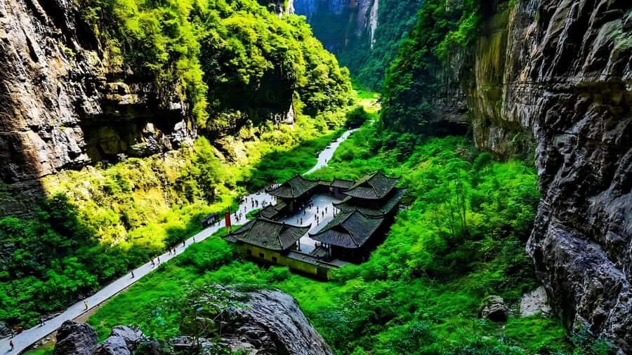 8-Day Guided TourChengdu, Chongqing & Jiuzhaigou - About the Experience