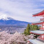 9 Day Best of Japan Cherry Blossom Small Group Tour 2026 - The Itinerary in Detail: What You Can Expect