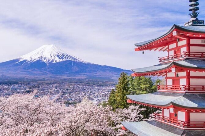 9 Day Best of Japan Cherry Blossom Small Group Tour 2026 - The Itinerary in Detail: What You Can Expect