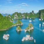 A Day in Paradise: Halong Bay Shore Excursion - Who Will Love This Tour?