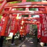 A private day in East Kyoto standard - Why this tour is worth considering