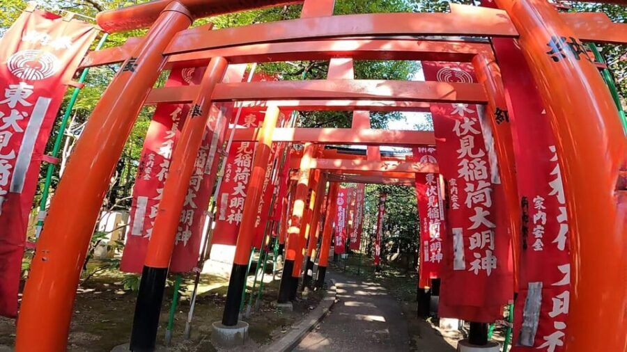 A private day in East Kyoto standard - Why this tour is worth considering