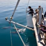 Adelaide: 4-Hour Guaranteed Wild Dolphin Watching Cruise - What Makes This Tour Stand Out?