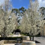 Adelaide Hills Tour - Is This Tour Worth It?