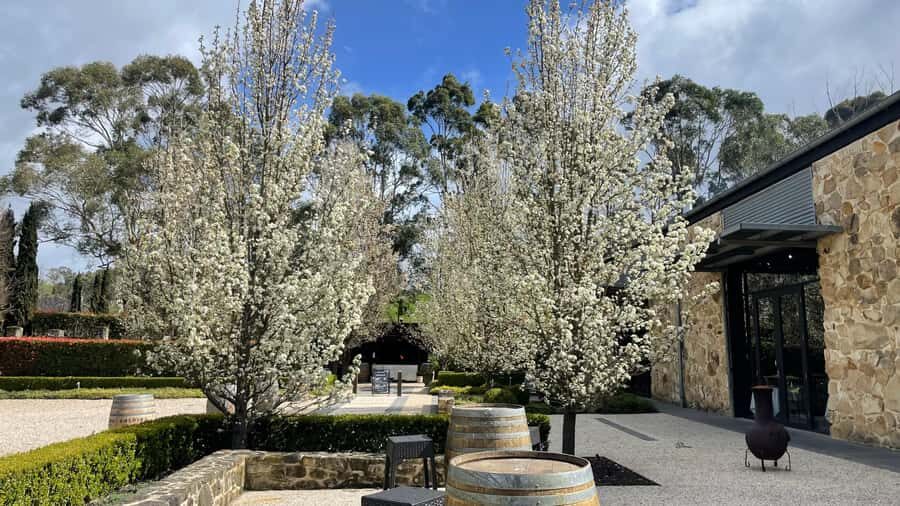 Adelaide Hills Tour - Is This Tour Worth It?