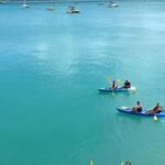Airlie Beach: Half Day Turtle Tour Sea Kayaking Adventure - Practical Tips for Your Trip