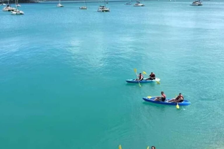 Airlie Beach: Half Day Turtle Tour Sea Kayaking Adventure - Practical Tips for Your Trip