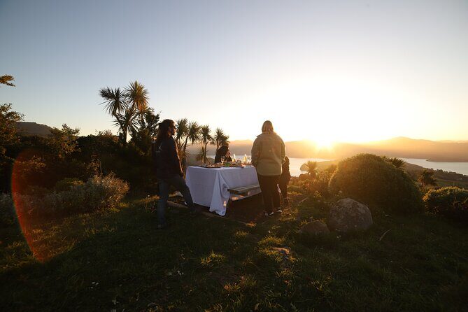 Akaroa Evening Stargazing & Daytime Solar Viewing Tour + Dinner - The Practical Details & What You Should Know
