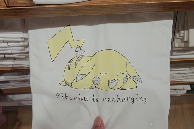 Akihabara Anime Shopping and Karaoke Bar Adventure - The Practicalities and Extras