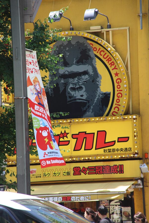 Akihabara Electric Town buildings Tokyo