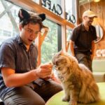Akihabara Pop Culture and Relaxing Cat Café Tour with Local Guide - Frequently Asked Questions
