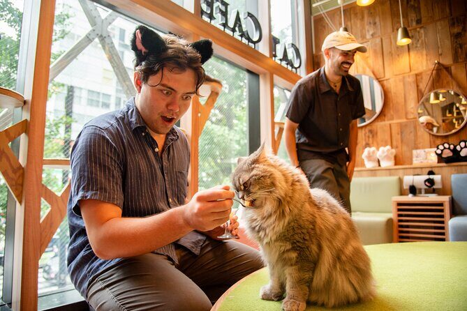 Akihabara Pop Culture and Relaxing Cat Café Tour with Local Guide - Frequently Asked Questions