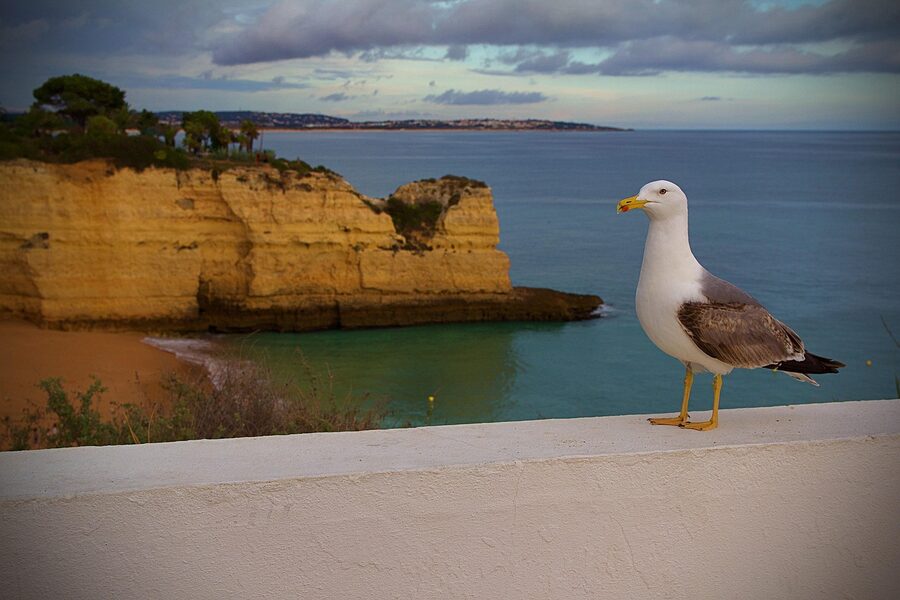 Albufeira archway and coast, Algarve, Portugal
