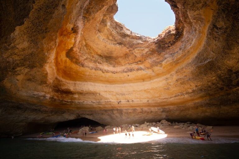 How to Book a Benagil Caves and Dolphin Watching Tour from Albufeira