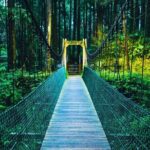 Alishan 2Day Shared Tour from Taipei - Frequently Asked Questions