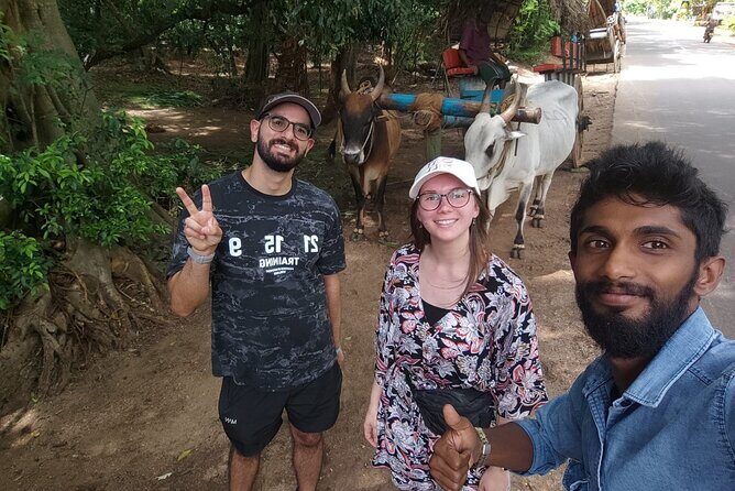 All-inclusive - Sigiriya and Dambulla day tour from Colombo - A Closer Look at the Itinerary and Experience