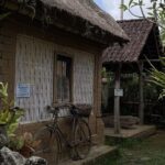 All Inclusive Ubud Cultural and Natural Highlights Tour - Transportation and Timing