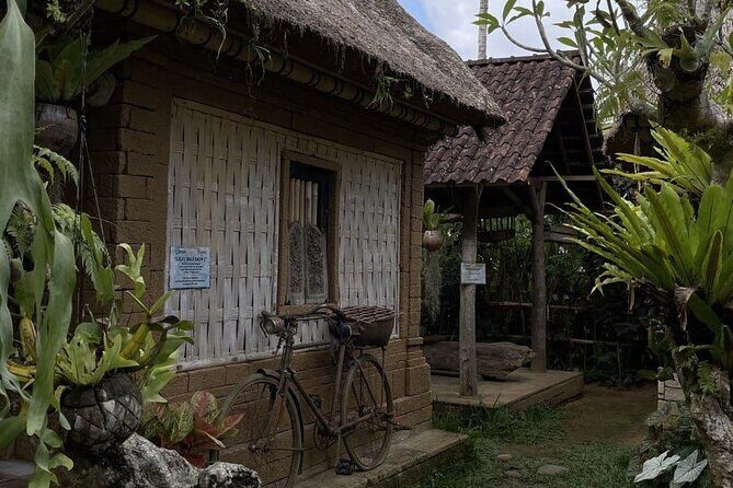 All Inclusive Ubud Cultural and Natural Highlights Tour - Transportation and Timing