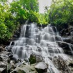 All-Inclusive Ubud Customized Private Tour - Exploring the Ubud Private Tour in Detail