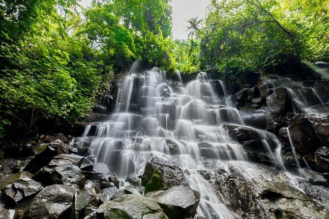 All-Inclusive Ubud Customized Private Tour - Exploring the Ubud Private Tour in Detail
