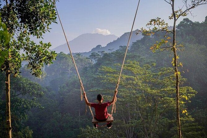 All Inclusives Bali Private Tour Temples Palaces and Nature - Who Would Enjoy This Tour?