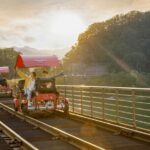 Alpaca World with Gangchon Rail Park One Day Tour - Gangchon Rail Park: Pedal Along Scenic Tracks