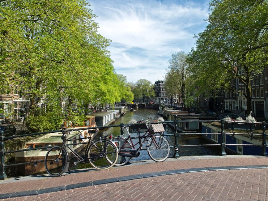 Bicycles parked on Amsterdam bridge in spring blossoms