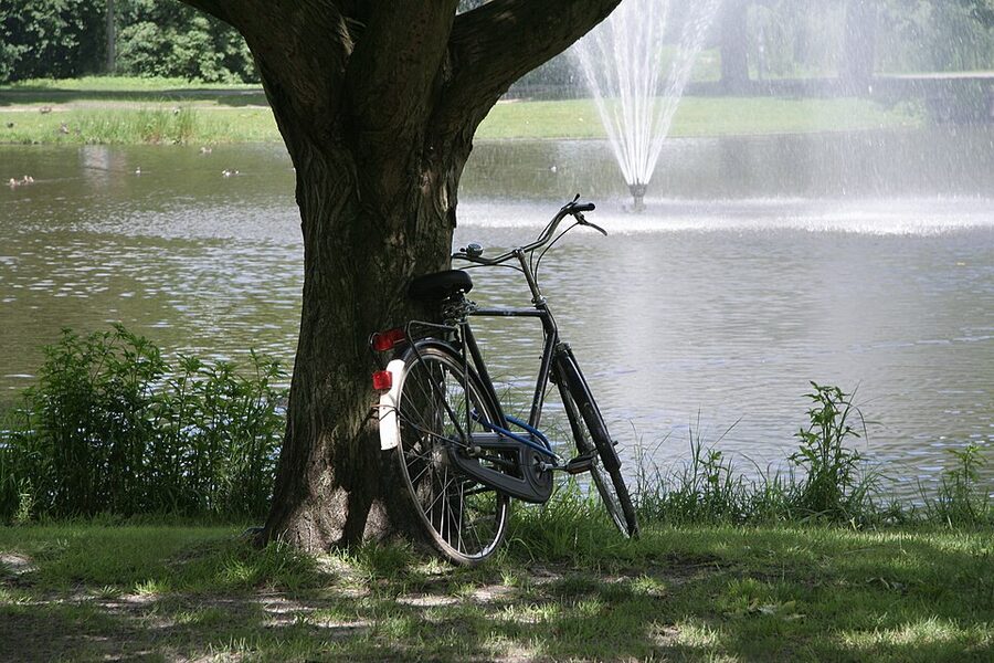 Bicycle in Vondelpark Amsterdam