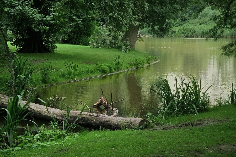 Vondelpark pond and trees in Amsterdam