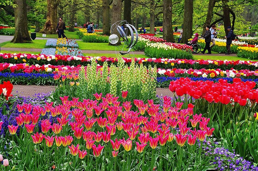 Keukenhof flower mosaic design with tulips arranged in patterns