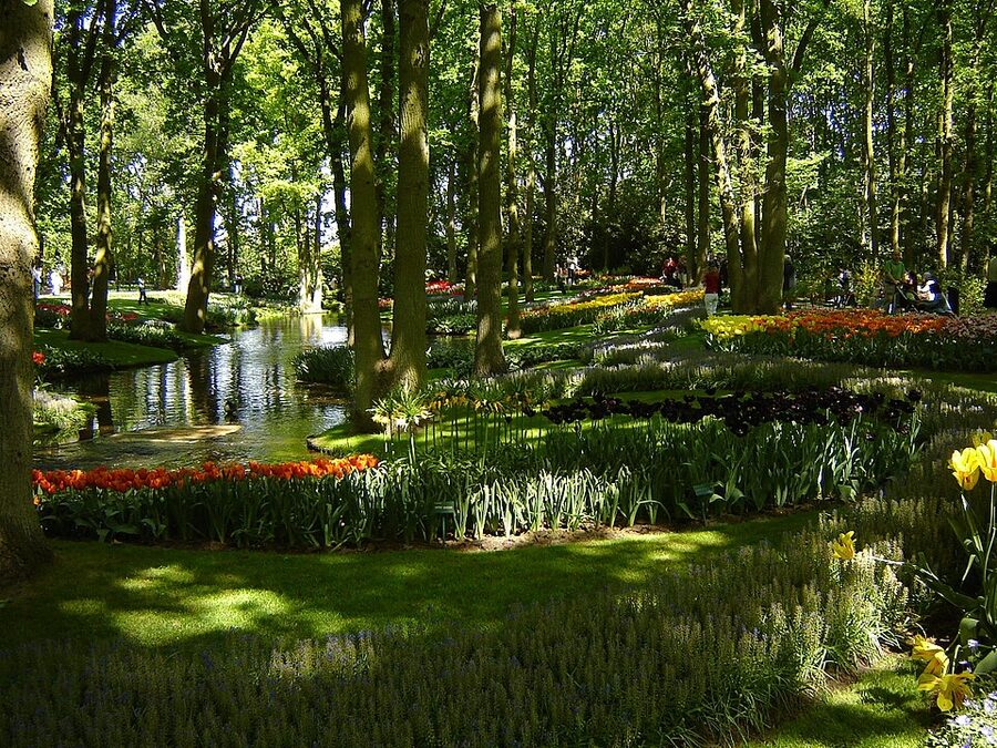 Path lined with tulip beds at Keukenhof Tulip Gardens