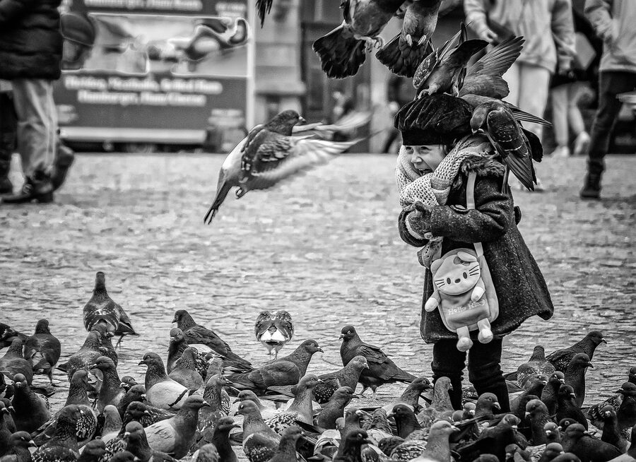 Dam Square Amsterdam child with pigeons
