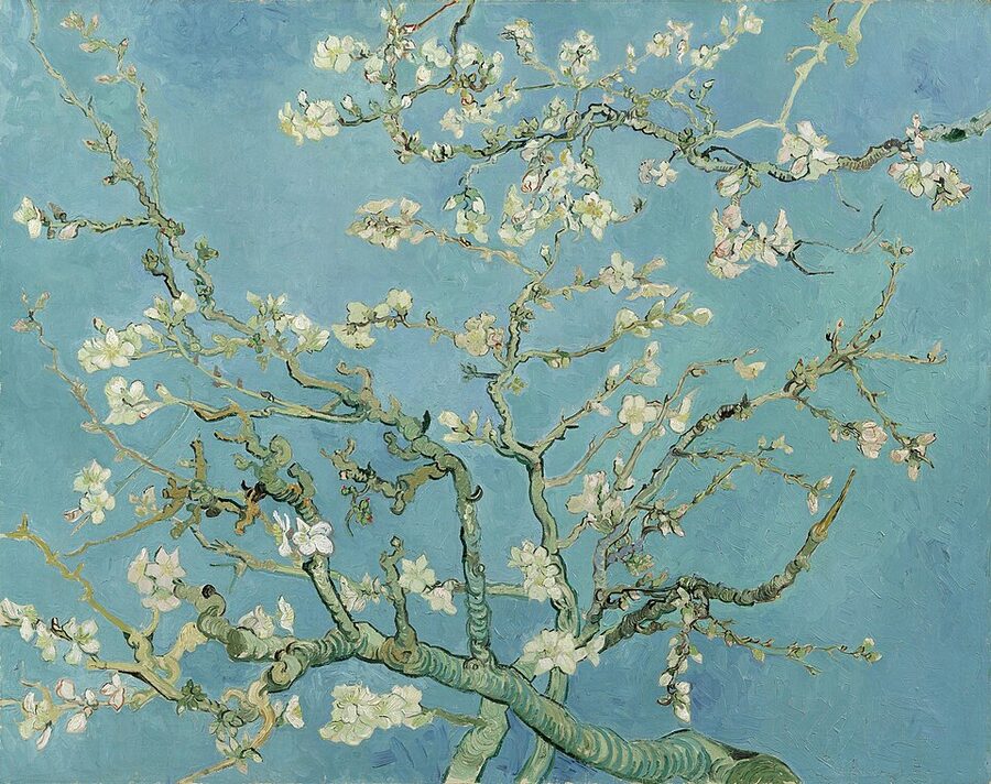 Almond Blossom by Vincent van Gogh, painted in 1890 for his nephew's birth