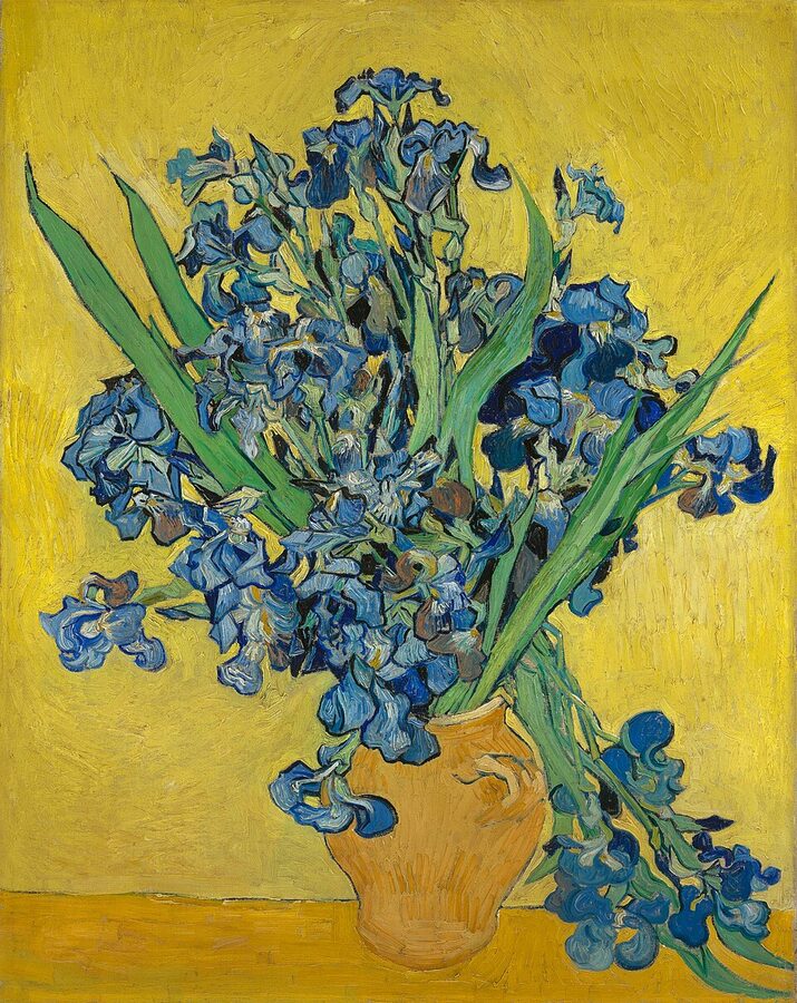 Irises (1889) by Vincent van Gogh, painted at Saint-Remy-de-Provence