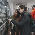 Anime & Manga Lovers Akihabara Tour  Private Tour - Why Choose the Anime & Manga Lovers Akihabara Tour?