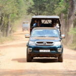Anuradhapura: Full-Day Wilpattu National Park Private Safari - Itinerary Breakdown: What to Expect