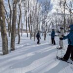 AOMORI: Snowshoe Adventure & Winter Bites at Sukayu - A Deep Dive into the Snowshoe Tour Experience