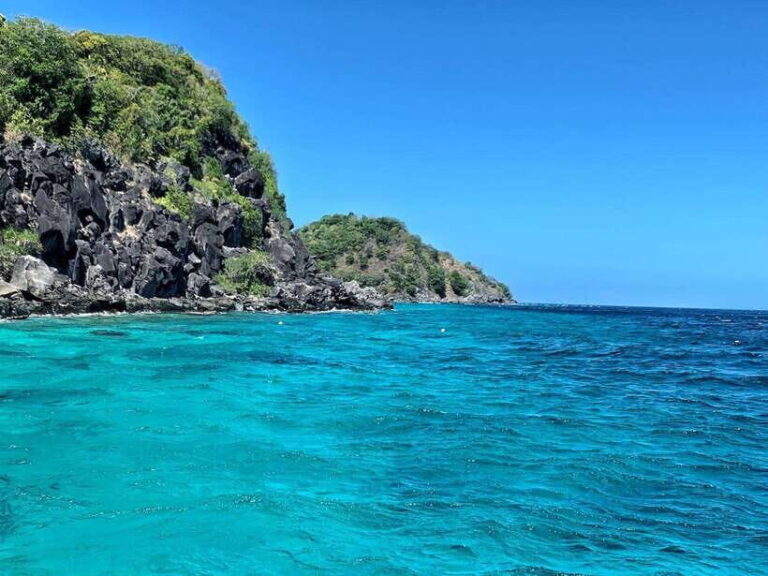 Apo Island Wonders: Snorkel with Sea Turtles in Dumaguete - Assessing the Value and Practical Aspects