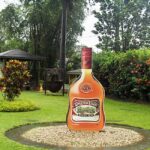Appleton Estate Rum Tour: Full Day from Montego Bay - Who Will Love This Tour?