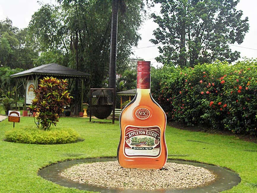 Appleton Estate Rum Tour: Full Day from Montego Bay - Who Will Love This Tour?