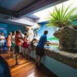 Aquarium Package in Nouméa's with Admission with Hop-on Hop-Off - Who Should Book This Tour?