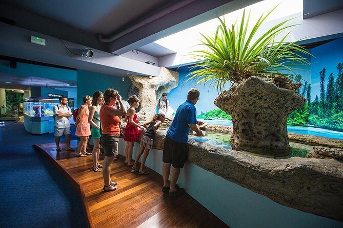 Aquarium Package in Nouméa's with Admission with Hop-on Hop-Off - Who Should Book This Tour?