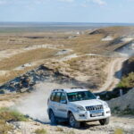 Aral Sea One Day Trip from Nukus. - Transportation, Pricing, and Practicalities