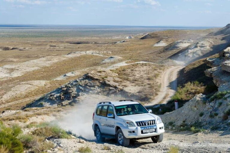 Aral Sea One Day Trip from Nukus. - Transportation, Pricing, and Practicalities