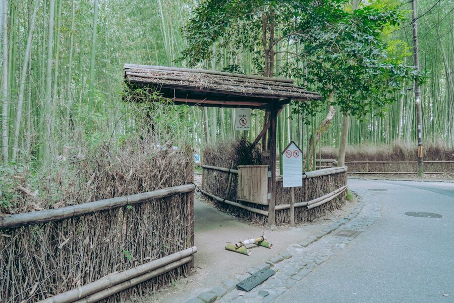 Entry to the bamboo grove park in Arashiyama Kyoto with tall bamboo trees