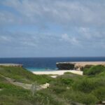 Arikok Adventurous Hiking Experience in Aruba - Authentic Reviews and Tips from Travelers