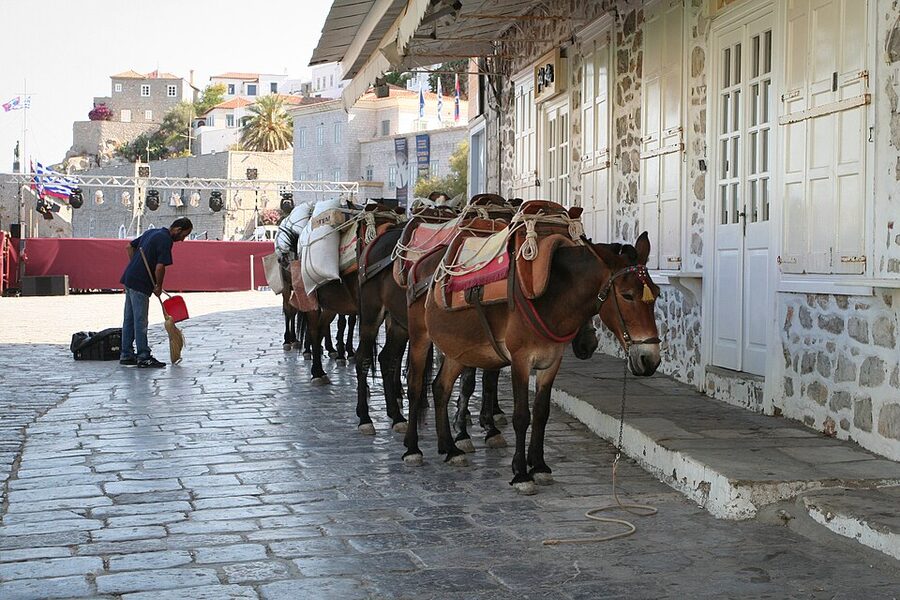 Donkeys waiting at port Hydra Greece luggage transport