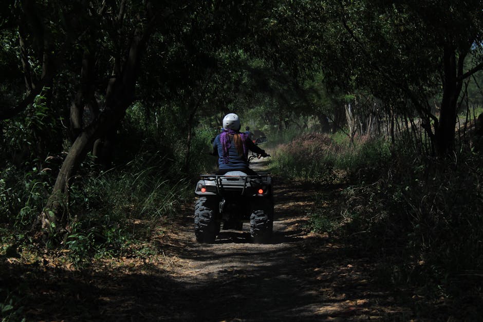 Riders on an ATV adventure through a scenic forest trail